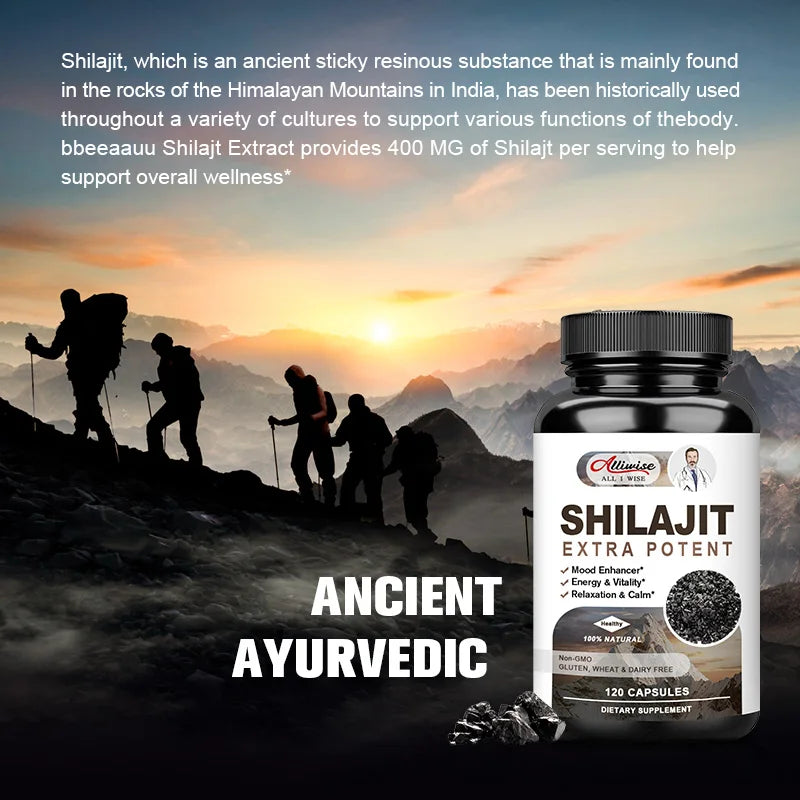 Shilajit Dietary Supplement - Energy Replenishment, Zinc & Potassium Minerals, Brain Memory and Muscle Stamina (120 Capsules)