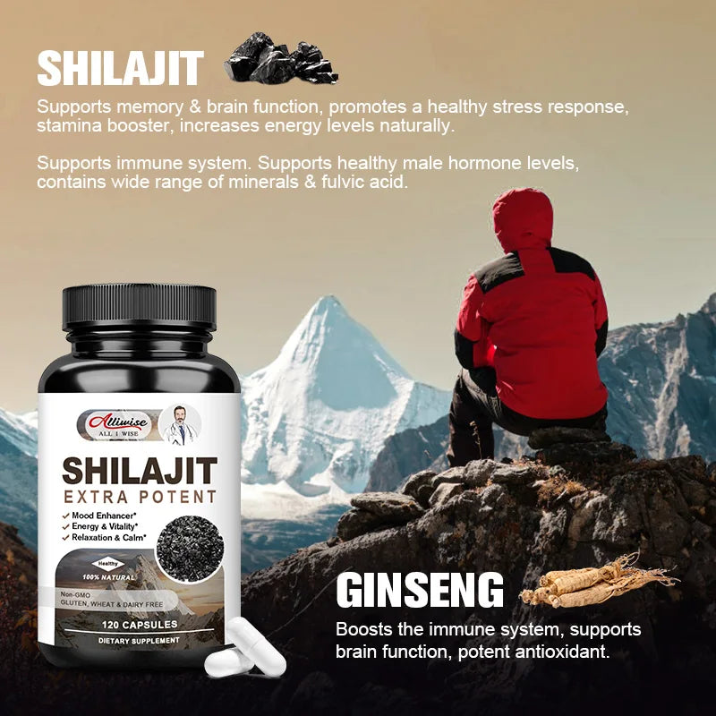 Shilajit Dietary Supplement - Energy Replenishment, Zinc & Potassium Minerals, Brain Memory and Muscle Stamina (120 Capsules)