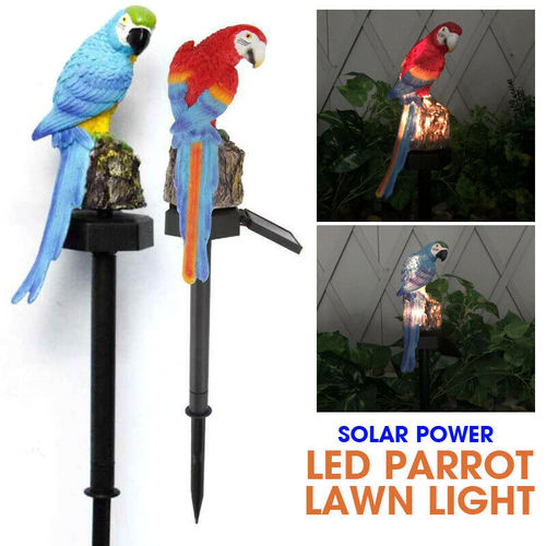 Solar Power LED Parrot Lawn Light Garden - Thal Lifestyle