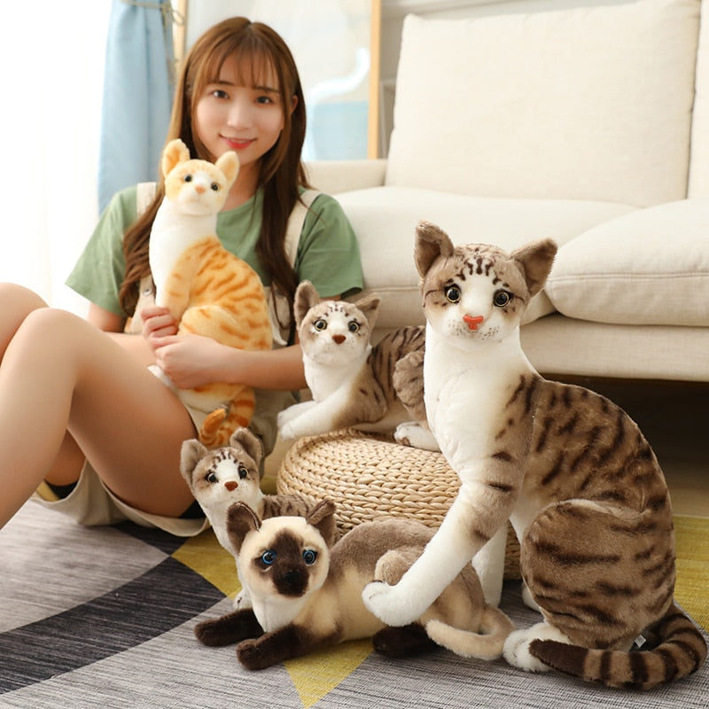 Cute Cat Doll Gift For Girls birthday - Thal Lifestyle