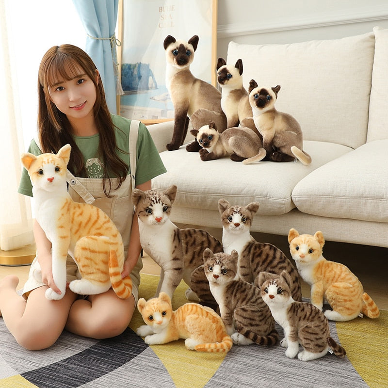 Cute Cat Doll Gift For Girls birthday - Thal Lifestyle