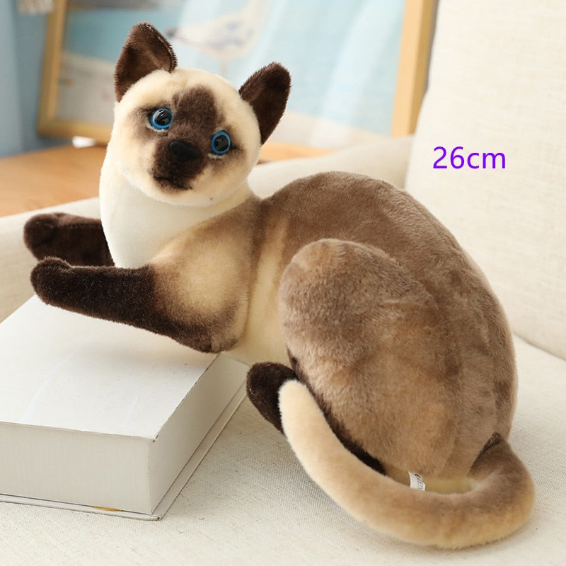 Cute Cat Doll Gift For Girls birthday - Thal Lifestyle