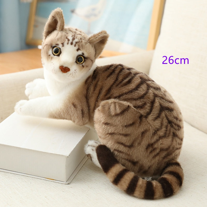 Cute Cat Doll Gift For Girls birthday - Thal Lifestyle